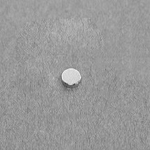 Neodymium Disc Magnets